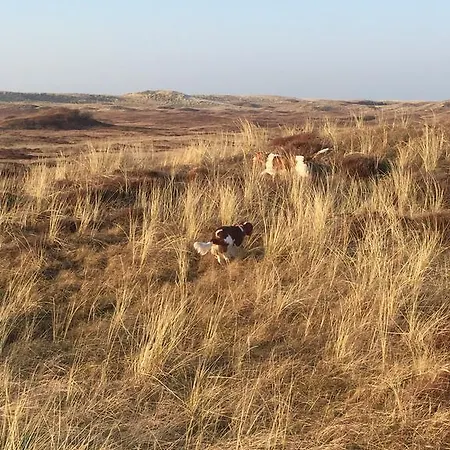 Friends Texel De Koog (Texel)